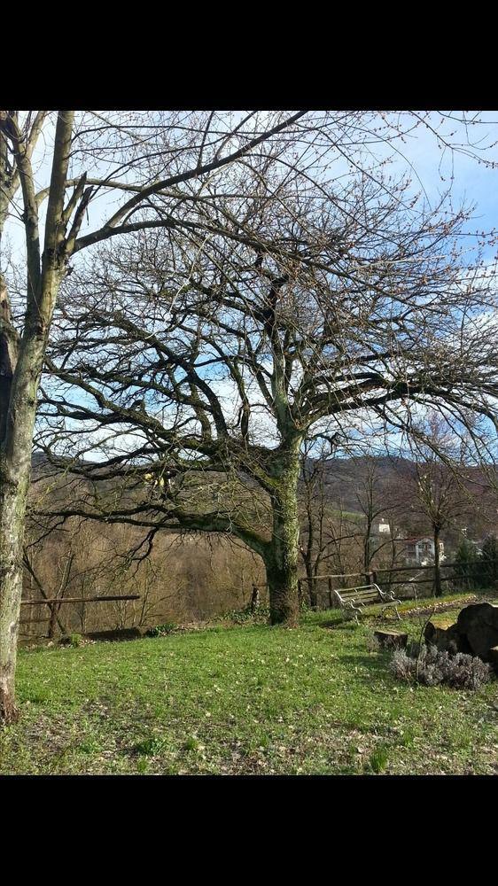B&B Cascina Santa Gavi Bagian luar foto